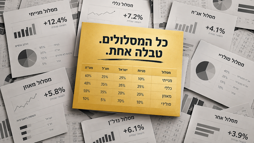 Read more about the article להורדה: טבלת מסלולי השקעה מוטי ישראל